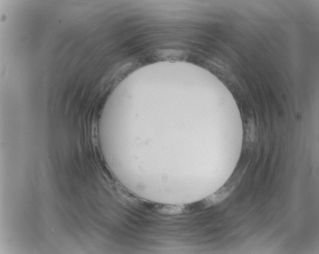 X0000066080138200603171040