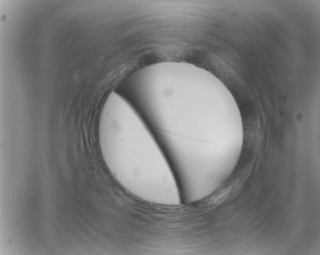 X0000066080139200603171040