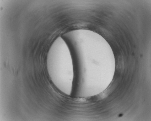 X0000066080140200603171040