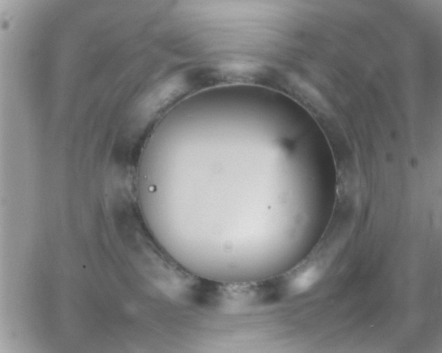 X0000066080141200603171040