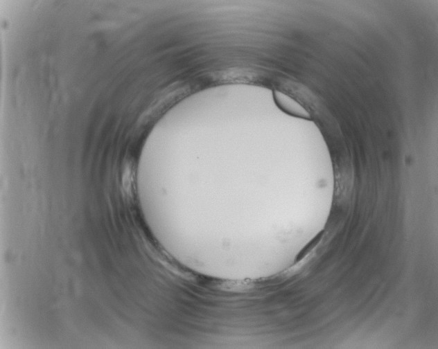 X0000066080142200603171040