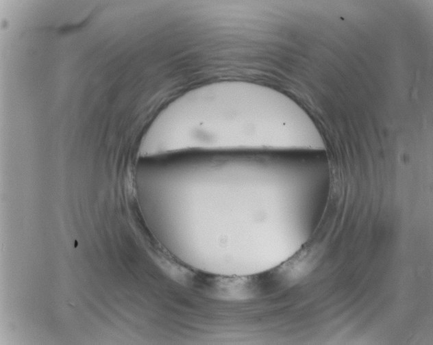 X0000066080143200603171040