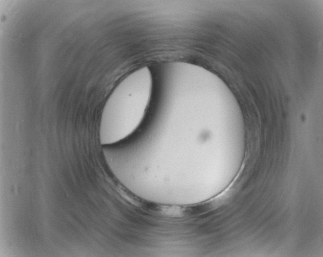 X0000066080144200603171040