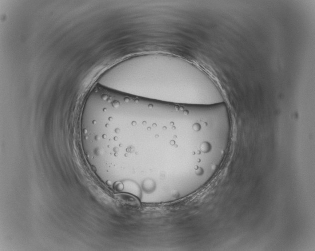 X0000066080145200603171039