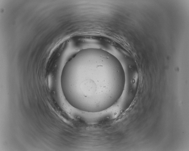 X0000066080146200603171039