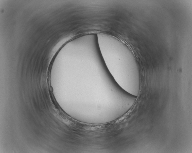 X0000066080147200603171039