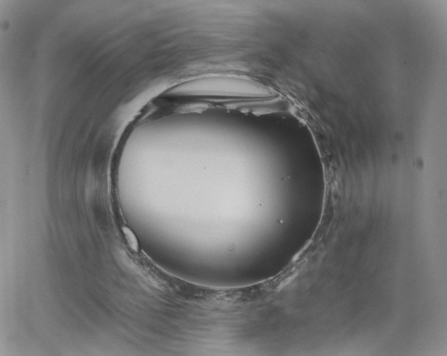 X0000066080148200603171039