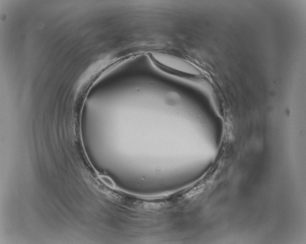 X0000066080149200603171039