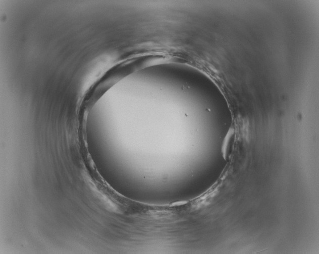 X0000066080150200603171039