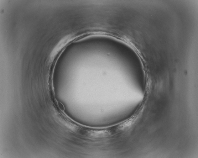 X0000066080151200603171039