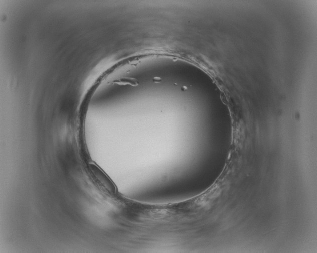 X0000066080152200603171039