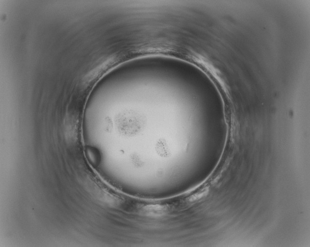 X0000066080153200603171039