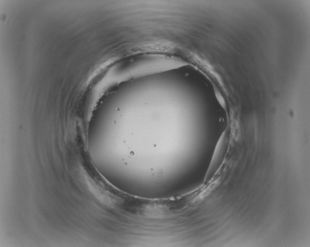 X0000066080154200603171039