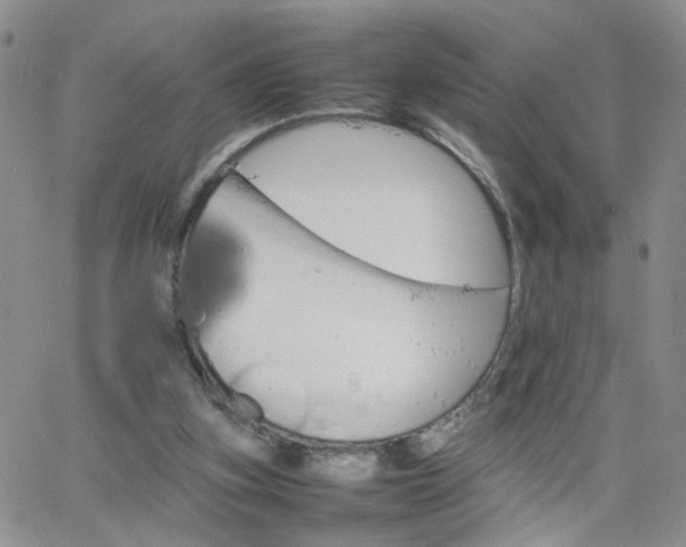 X0000066080155200603171039