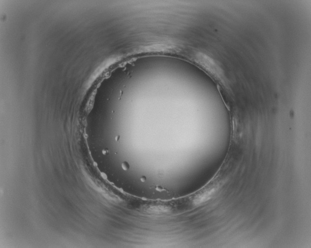 X0000066080156200603171039