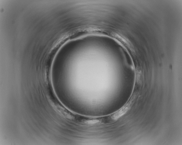 X0000066080158200603171039