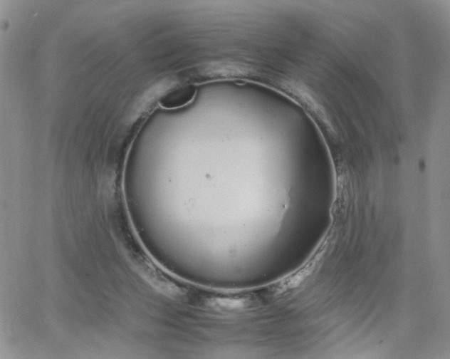 X0000066080159200603171039