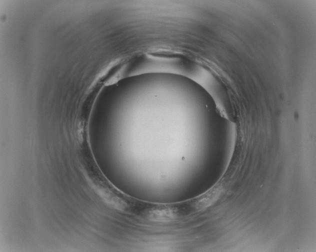 X0000066080160200603171039