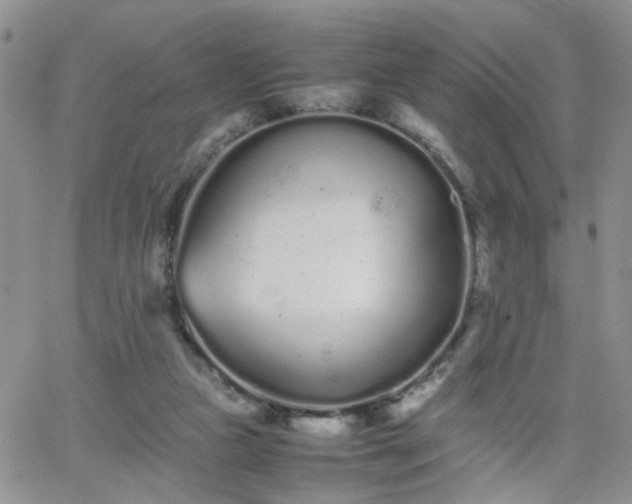 X0000066080161200603171039