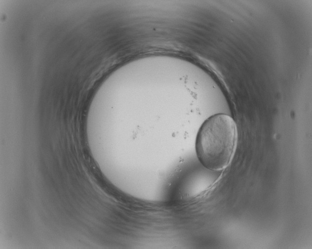 X0000066080162200603171039