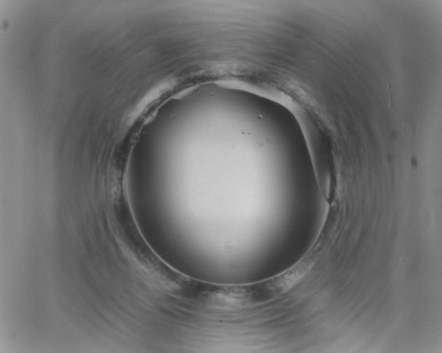 X0000066080164200603171039