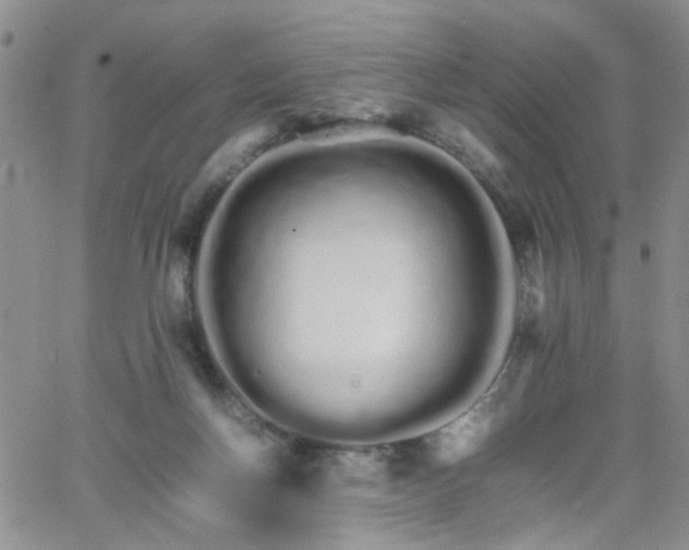 X0000066080166200603171039