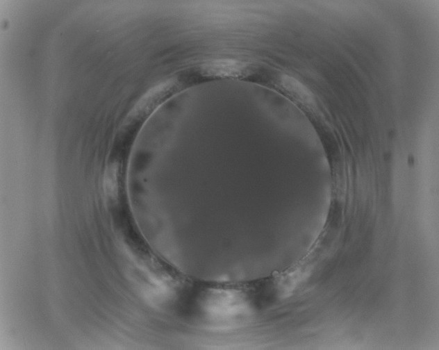 X0000066080167200603171039