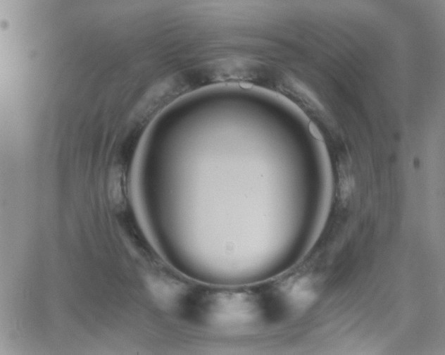 X0000066080169200603171039