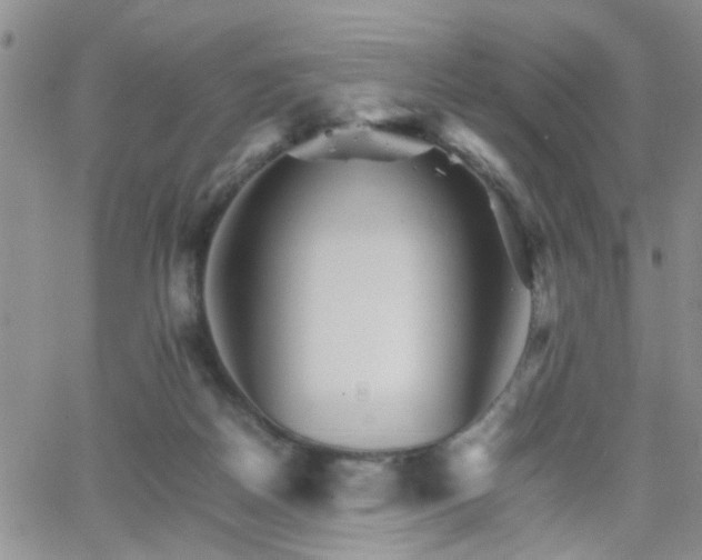 X0000066080170200603171039