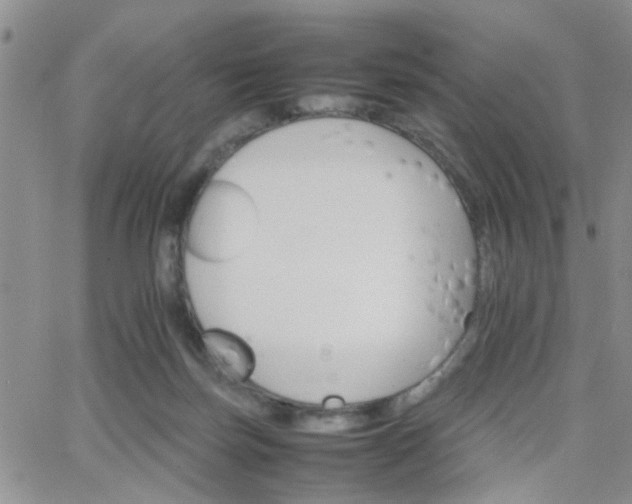 X0000066080171200603171039