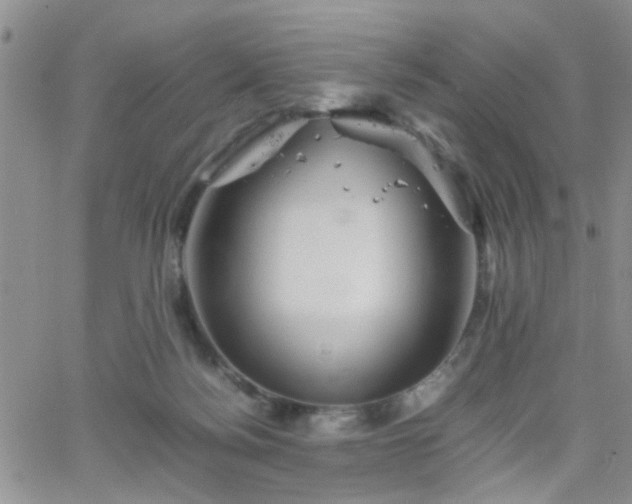 X0000066080172200603171039