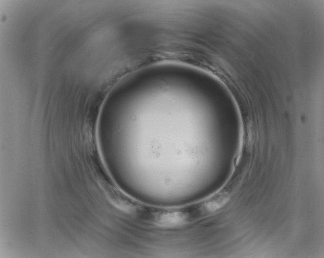 X0000066080173200603171039