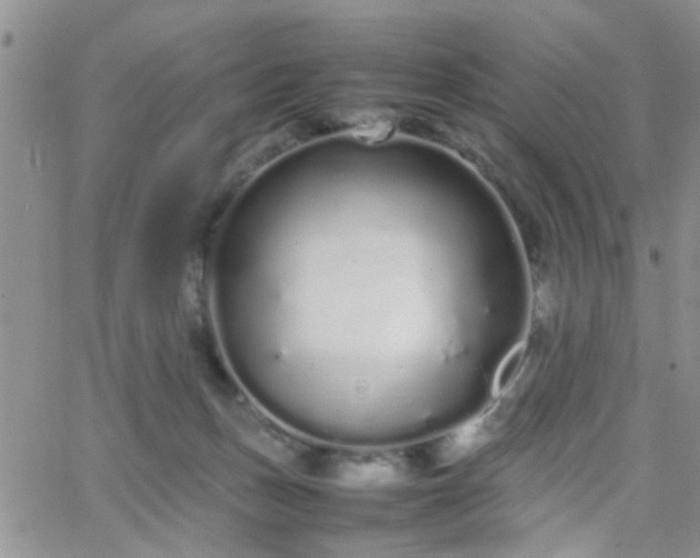 X0000066080175200603171039