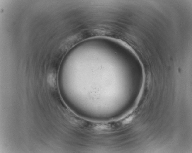 X0000066080177200603171039