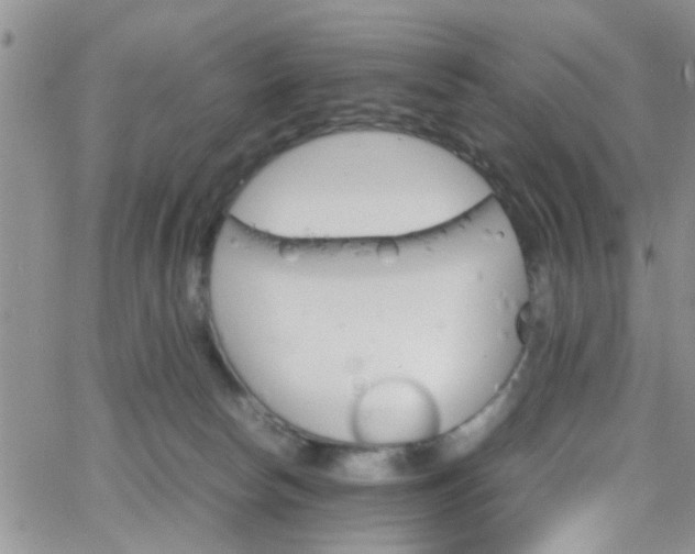 X0000066080178200603171039