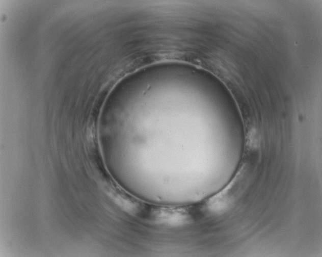 X0000066080179200603171039