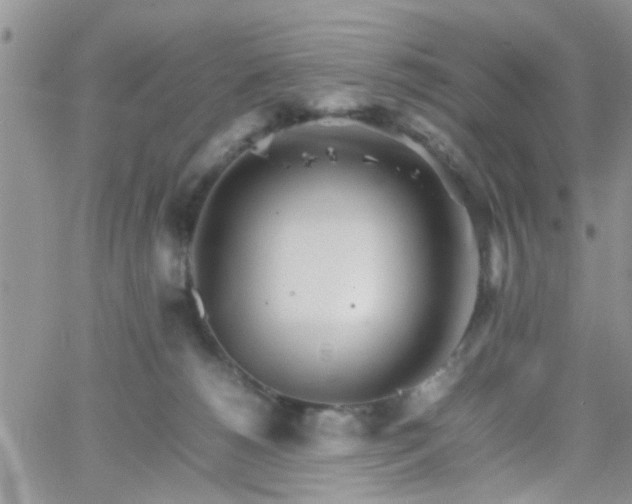 X0000066080180200603171039