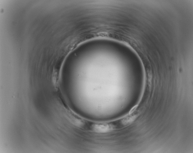 X0000066080181200603171039