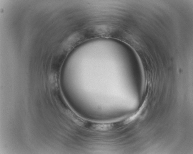 X0000066080182200603171039