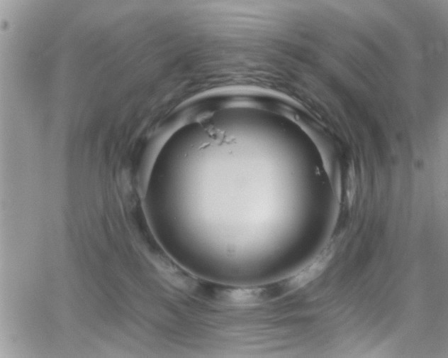 X0000066080184200603171039