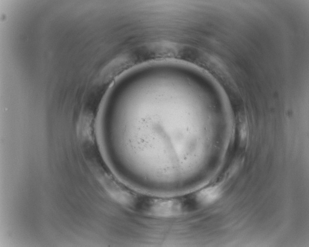 X0000066080185200603171039