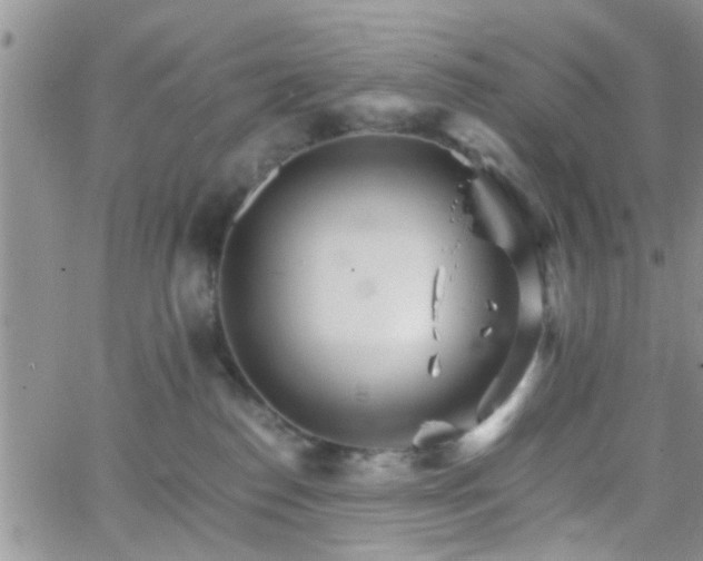 X0000066080186200603171040