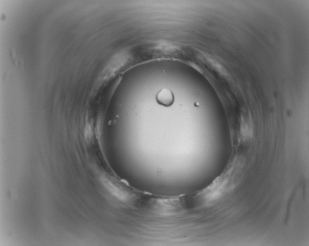 X0000066080188200603171040