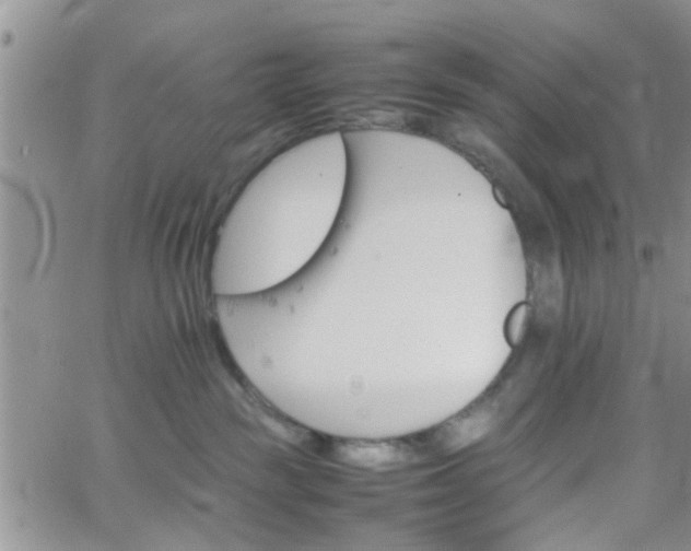 X0000066080189200603171040