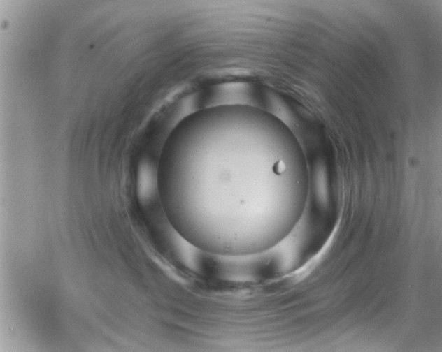 X0000066080190200603171040