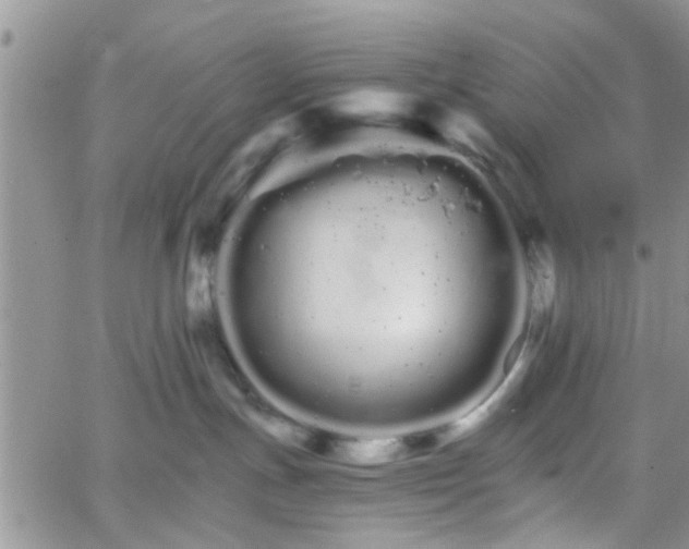 X0000066080191200603171040