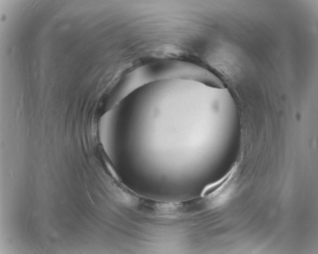 X0000066080192200603171040