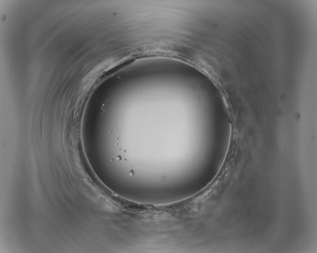 X0000066080193200603171039