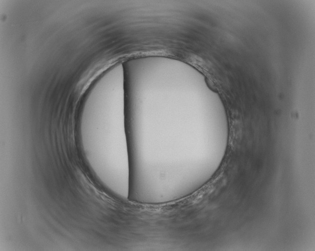 X0000066080194200603171039