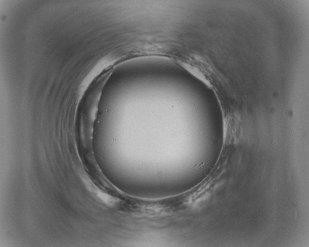 X0000066080195200603171039